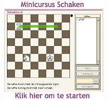 Schaakacademie.nl - gratis minicursus