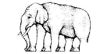 Gekke olifant