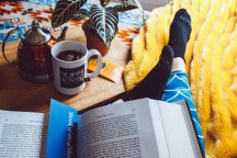Studeren tentamens