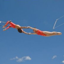 Hormonencircus