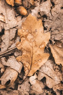 herfstvakantie tips