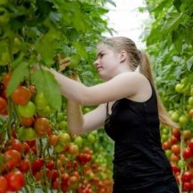 Vakantiewerk amersfoort 14 jaar